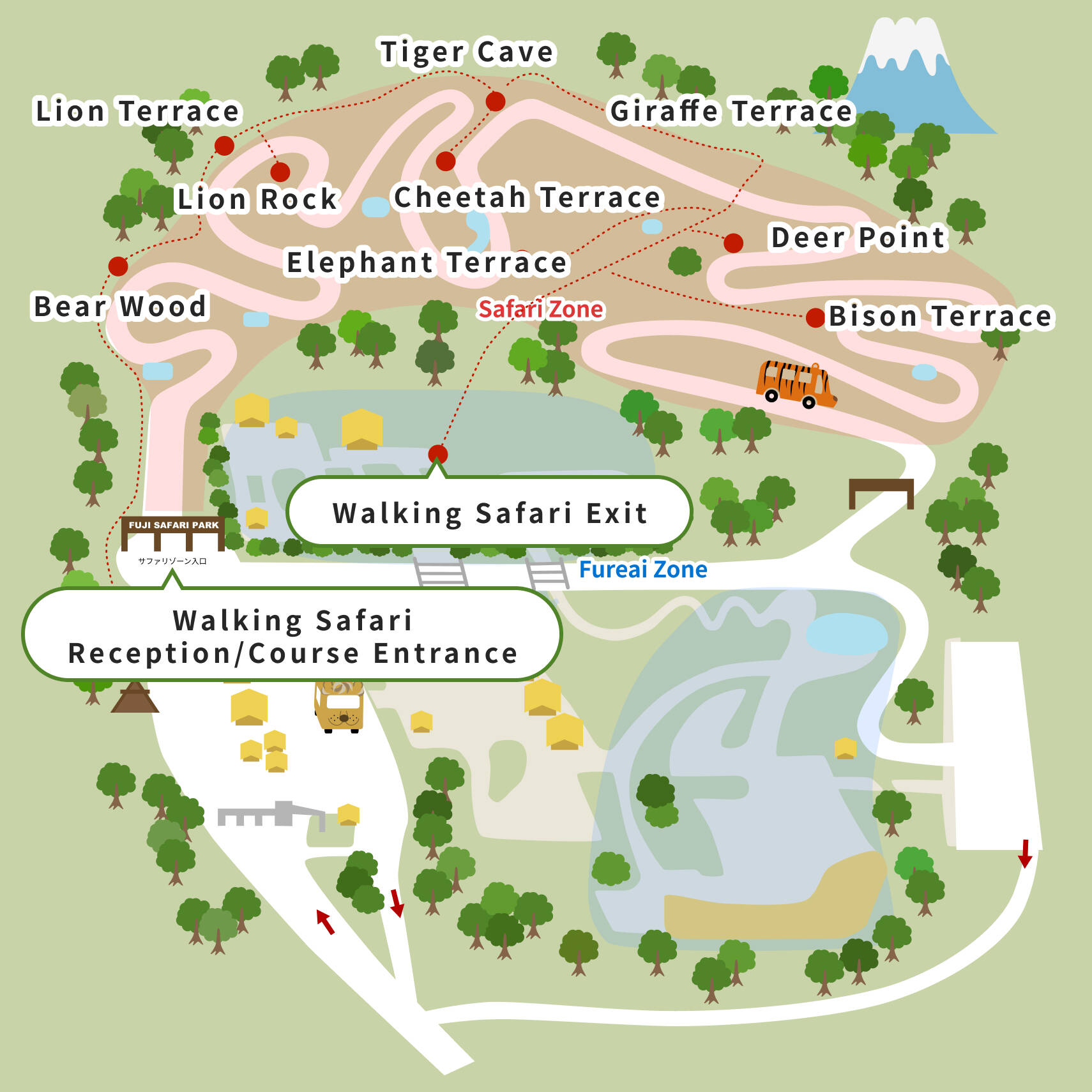 Walking Safari MAP
