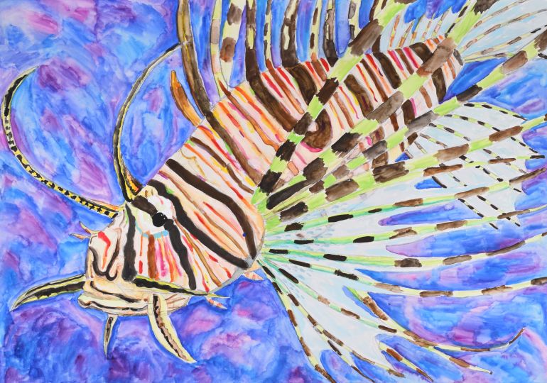 ハナミノカサゴ