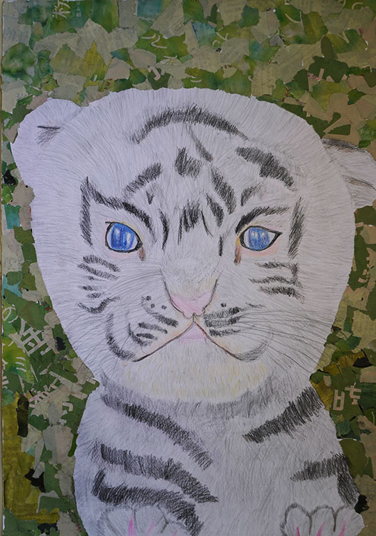 ホワイトタイガーの赤ちゃん