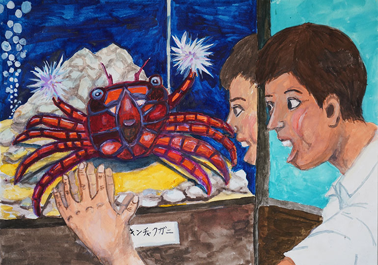 小さなダンサーキンチャクガニ