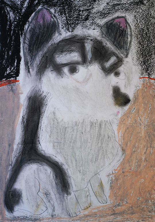 かわいい、いぬ