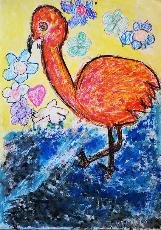 水の上を渡るフラミンゴ