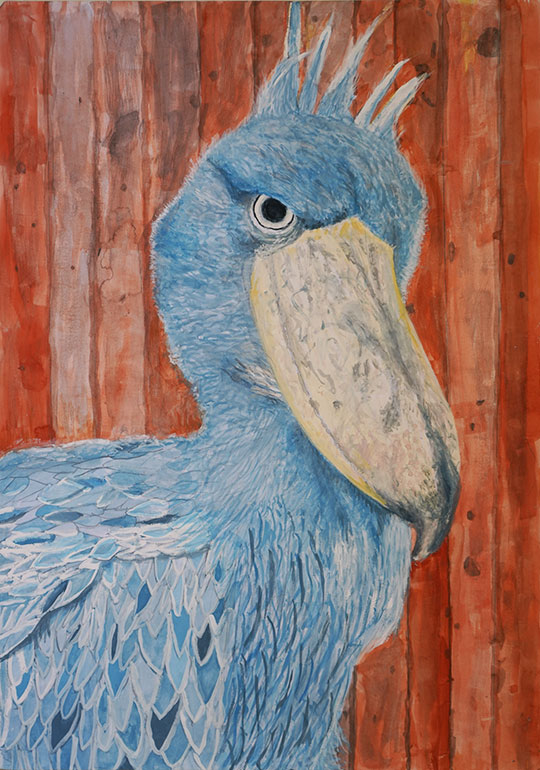 ハシビロコウのにらみ