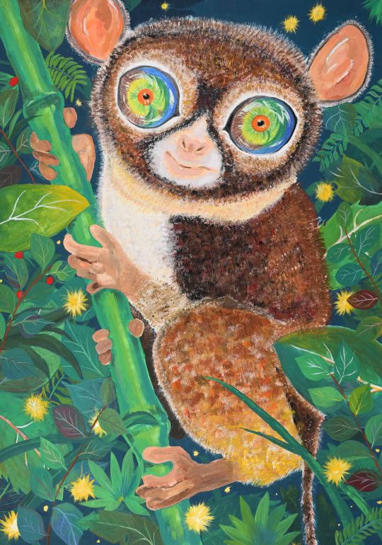 ボホール島のターシャ