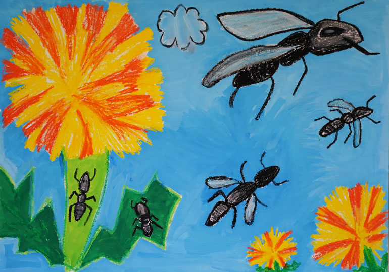 ありがとんだ！