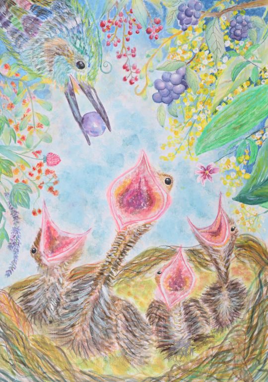 ぼくの庭の小さな命