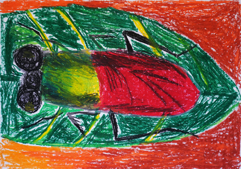 葉の上を歩くケンランカマキリ