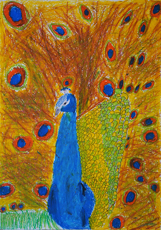 ぼくの羽カラフルできれいでしょ