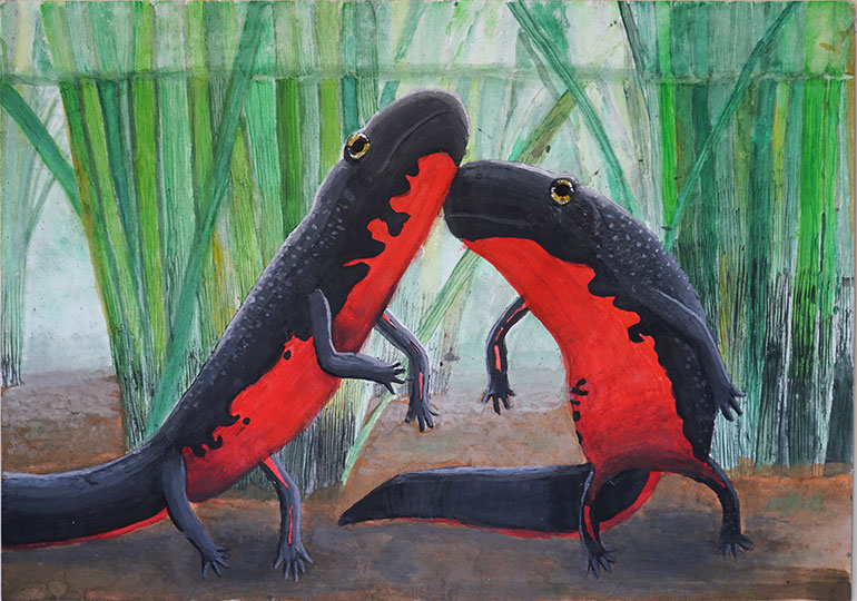 田んぼの中でチュッ