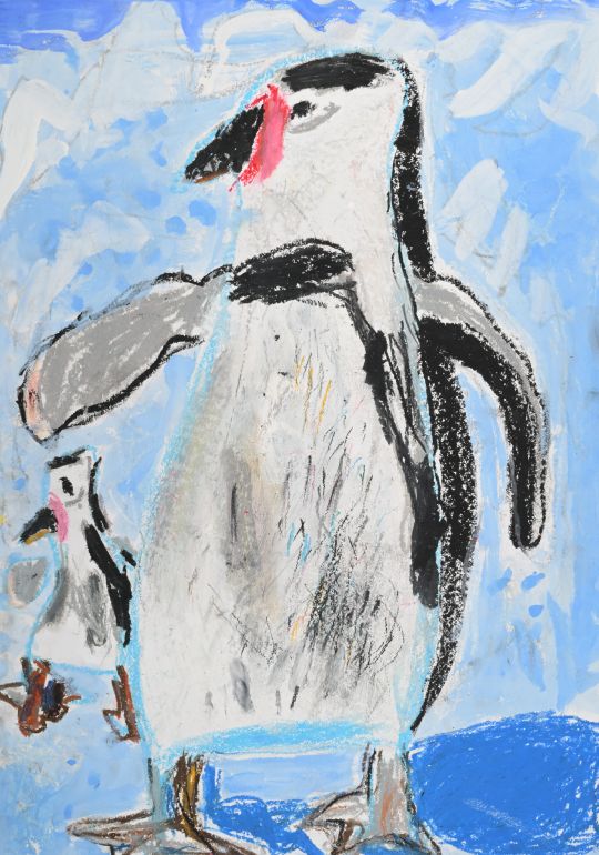 氷上にいるペンギン