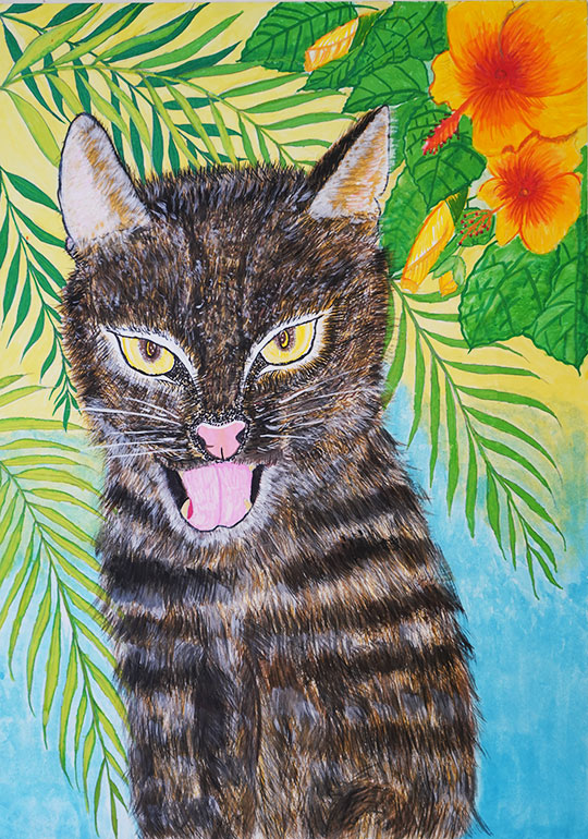 南の森の宝イリオモテヤマネコ