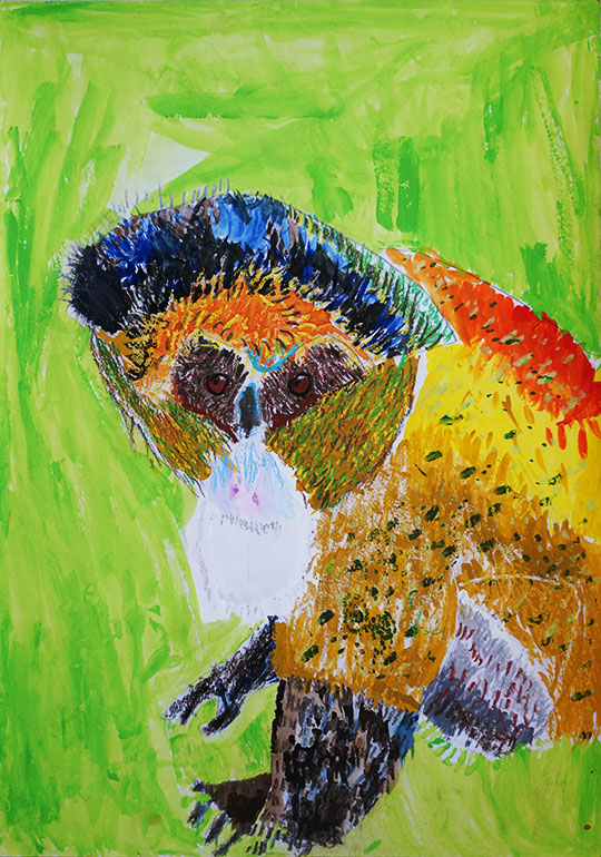 ブラッザグェノンモンキー