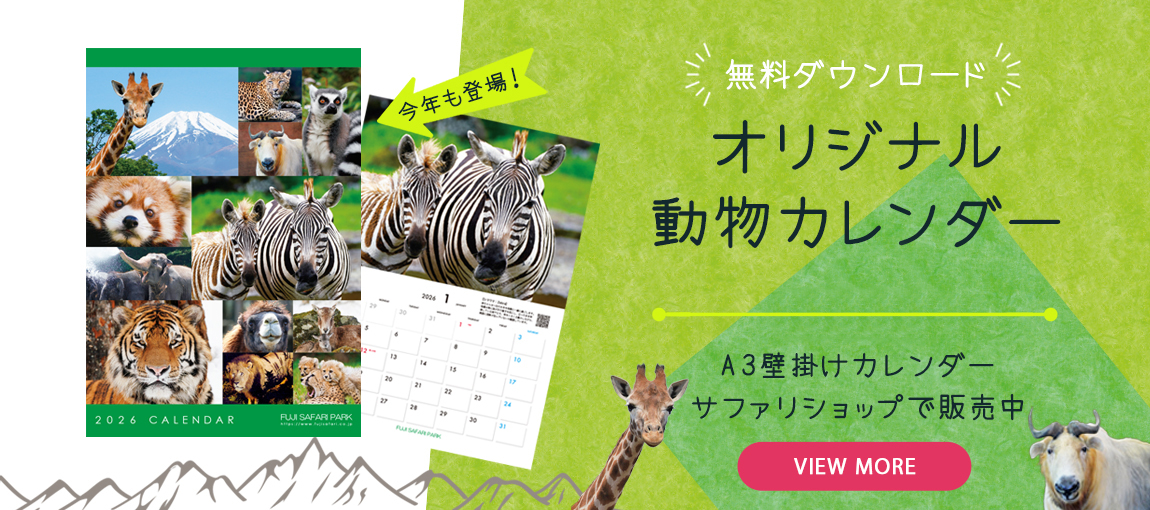 メインイメージ