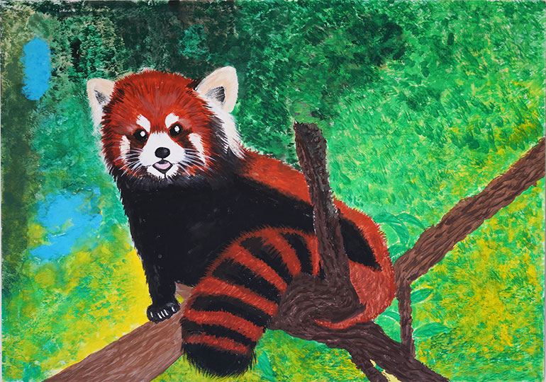 木の上のレッサーパンダ