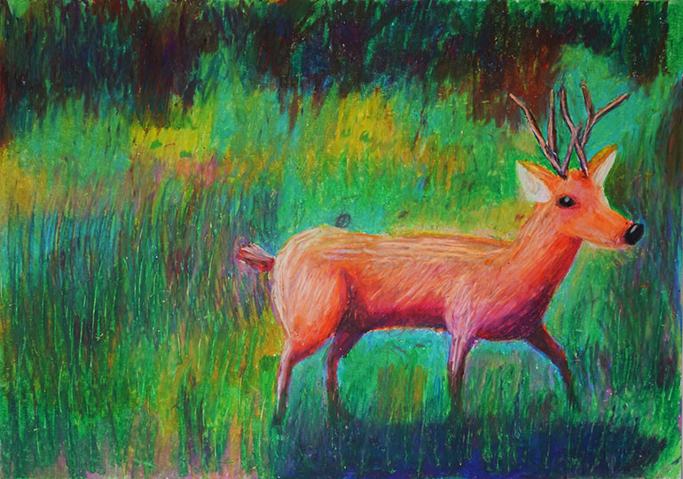 森をさんぽしているしか