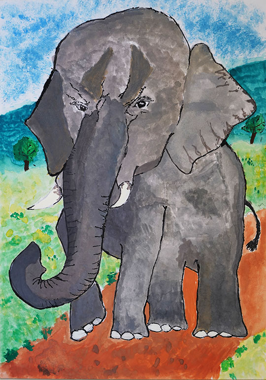 鼻が長くてかっこいいゾウ