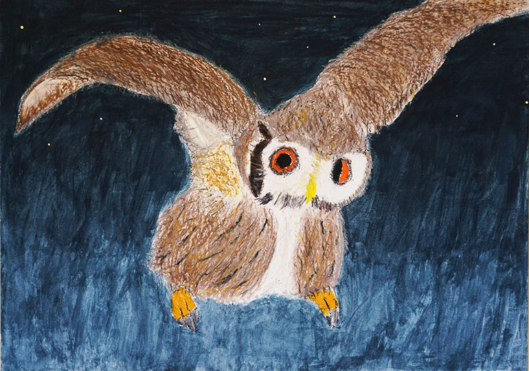 夜空をまうふくろう