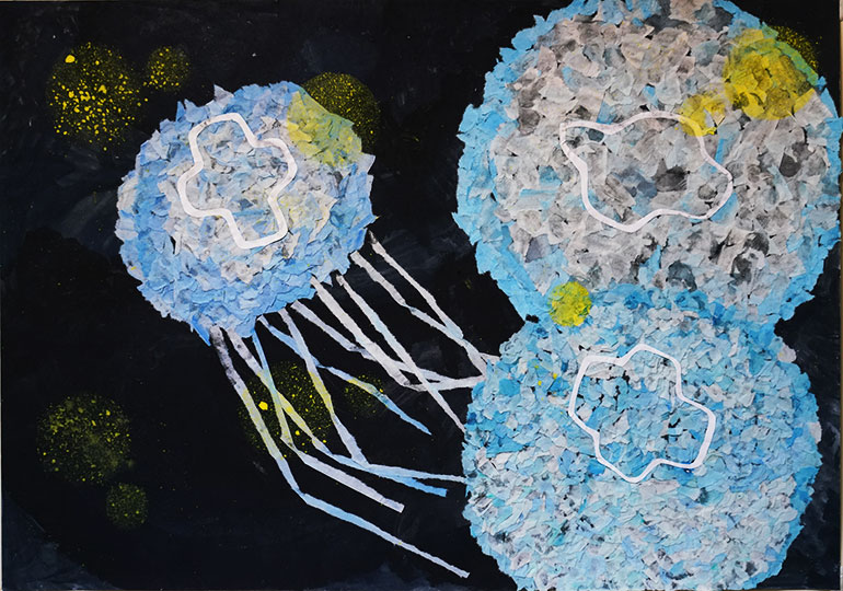 くらげのさんぽ