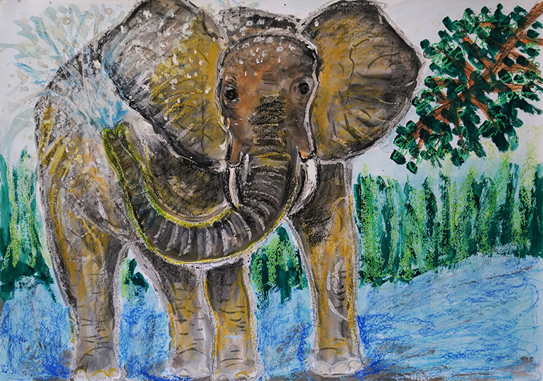 水浴びをするぞう