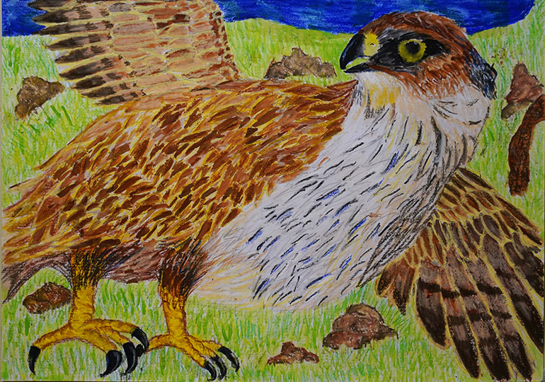 えものを見つけた！