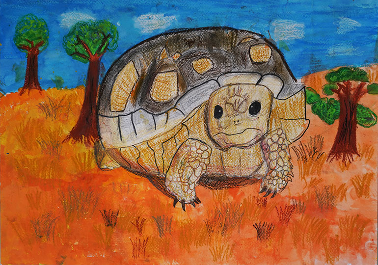 大地を行くリクガメ