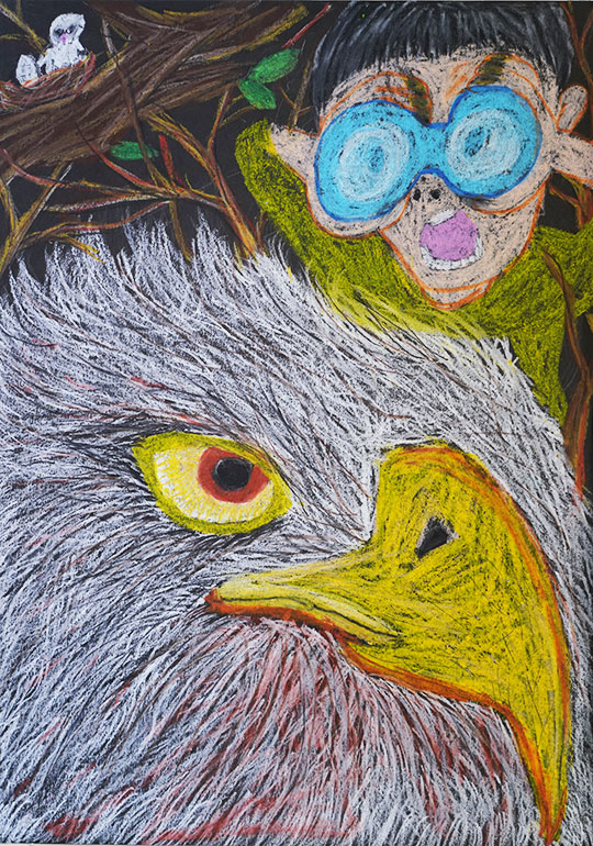 みつけたよ！ハクトウワシ！！