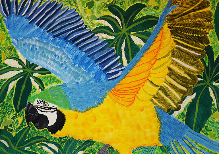 ジャングルを飛ぶルリコンゴウインコ