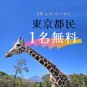 記事「東京都民《1名無料》キャンペーン（10月1日～31日）」の画像