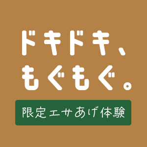 記事「限定エサあげ体験・土日祝に開催中！」の画像