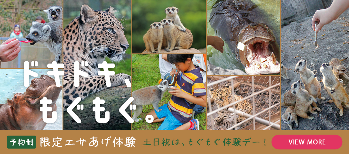 メインイメージ