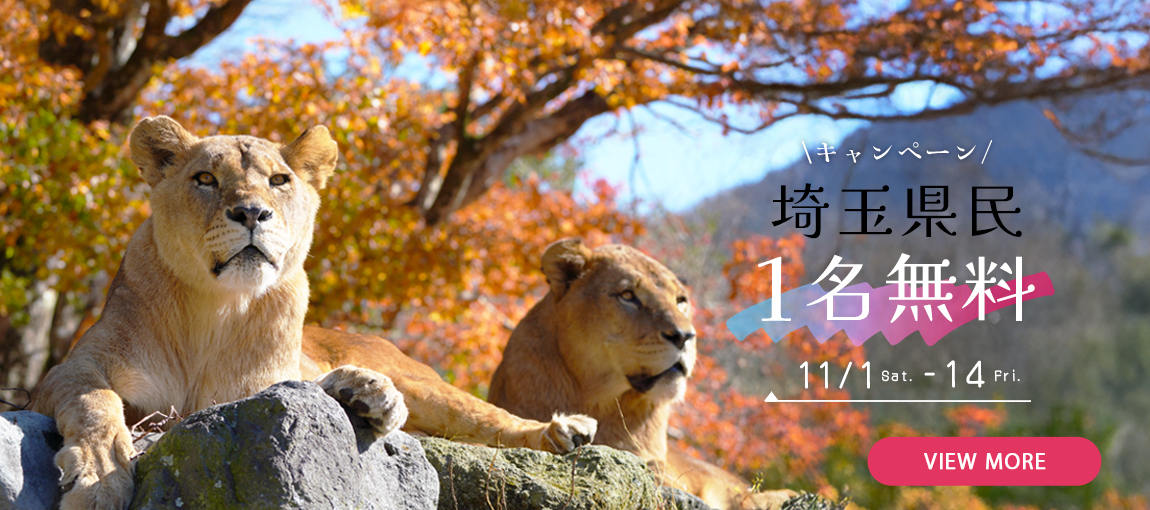 メインイメージ