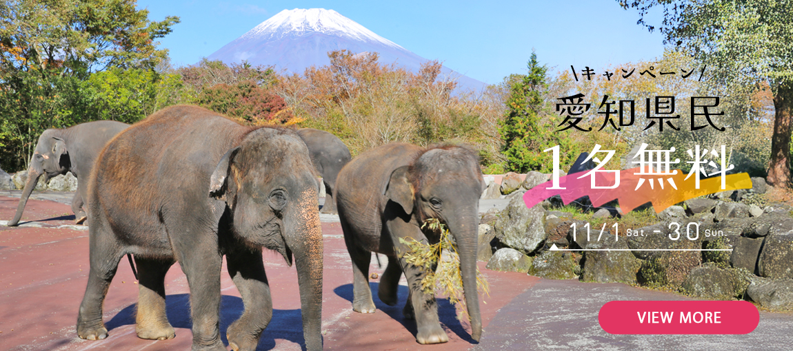 メインイメージ