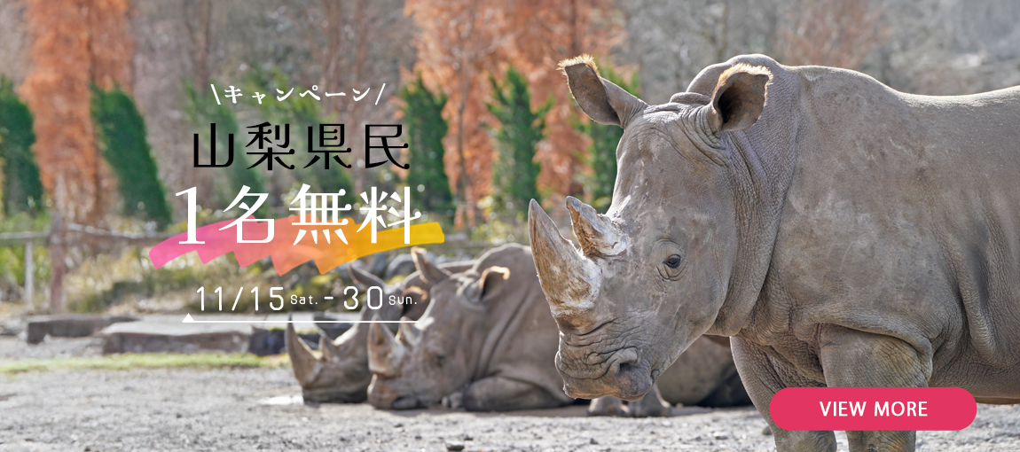 メインイメージ