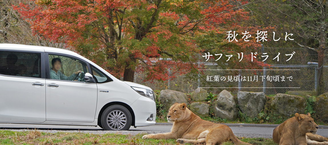 メインイメージ