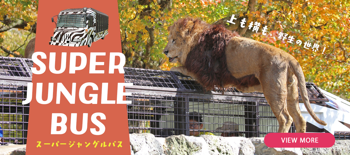 メインイメージ