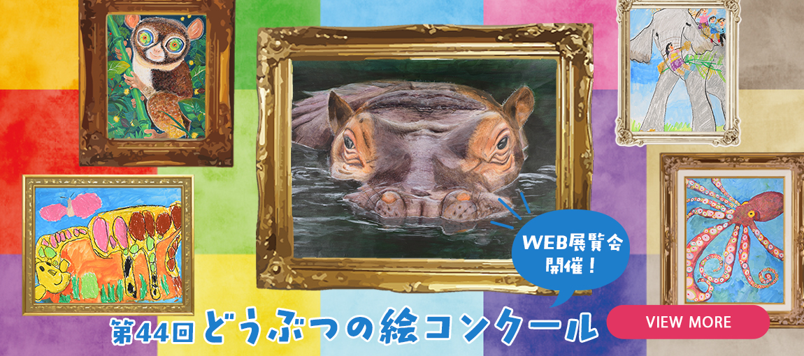 メインイメージ