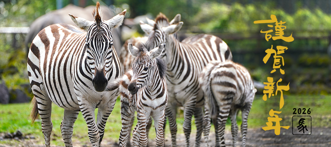 メインイメージ