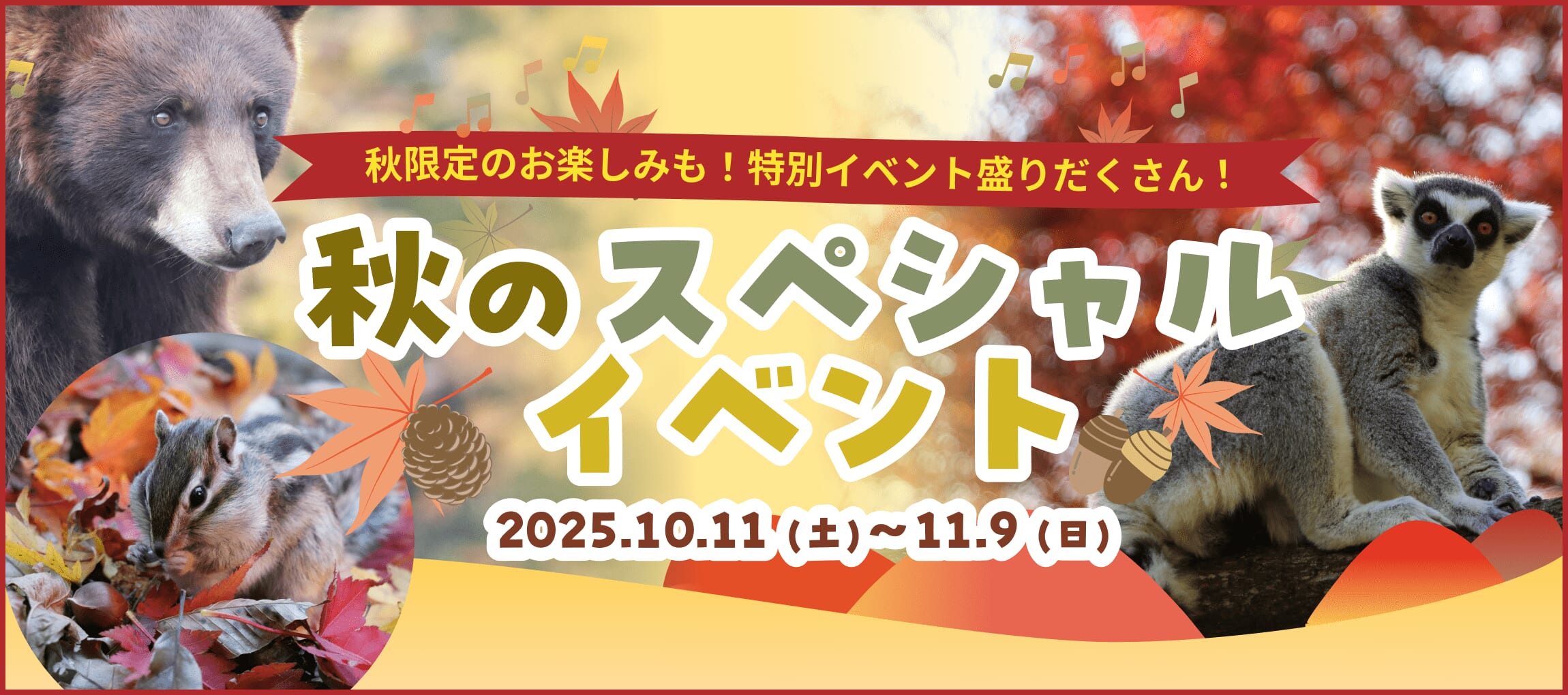 メインイメージ