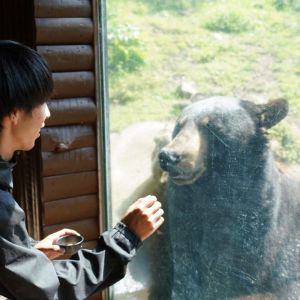 記事「秋の味覚をクマにプレゼント!(ウォーキングサファリ)」の画像