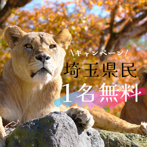 記事「埼玉県民《1名無料》キャンペーン(11月1日~14日)」の画像