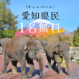 記事「愛知県民・1名無料キャンペーン!!(11月1日~30日)」の画像