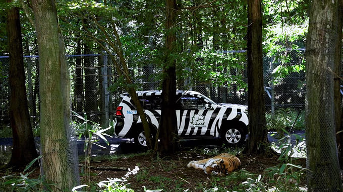 ナビゲーションカーだけが通れる
特別な未舗装ルートを走行!