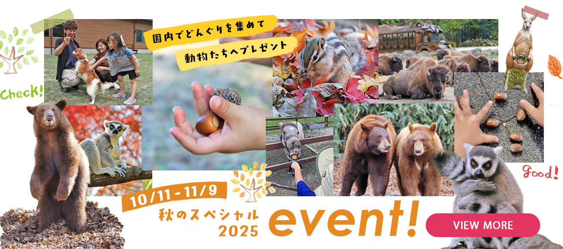 メインイメージ
