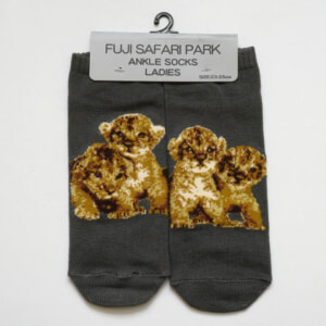 記事「オリジナルソックス 赤ちゃんライオン4つ子」の画像