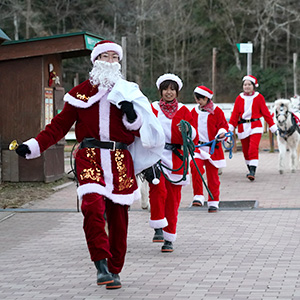 記事「クリスマス動物パレード開催！（12月6日～25日・計8日間）」の画像
