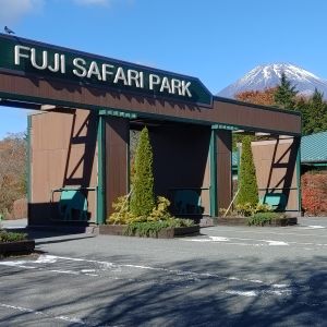 記事「園内、および周辺の道路状況(11月20日現在)」の画像