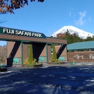 記事「園内、および周辺の道路状況（11月26日現在）」の画像