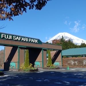 記事「園内、および周辺の道路状況(11月29日現在)」の画像