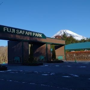 記事「園内、および周辺の道路状況（11月30日現在）」の画像