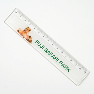 記事「定規 子ライオン」の画像